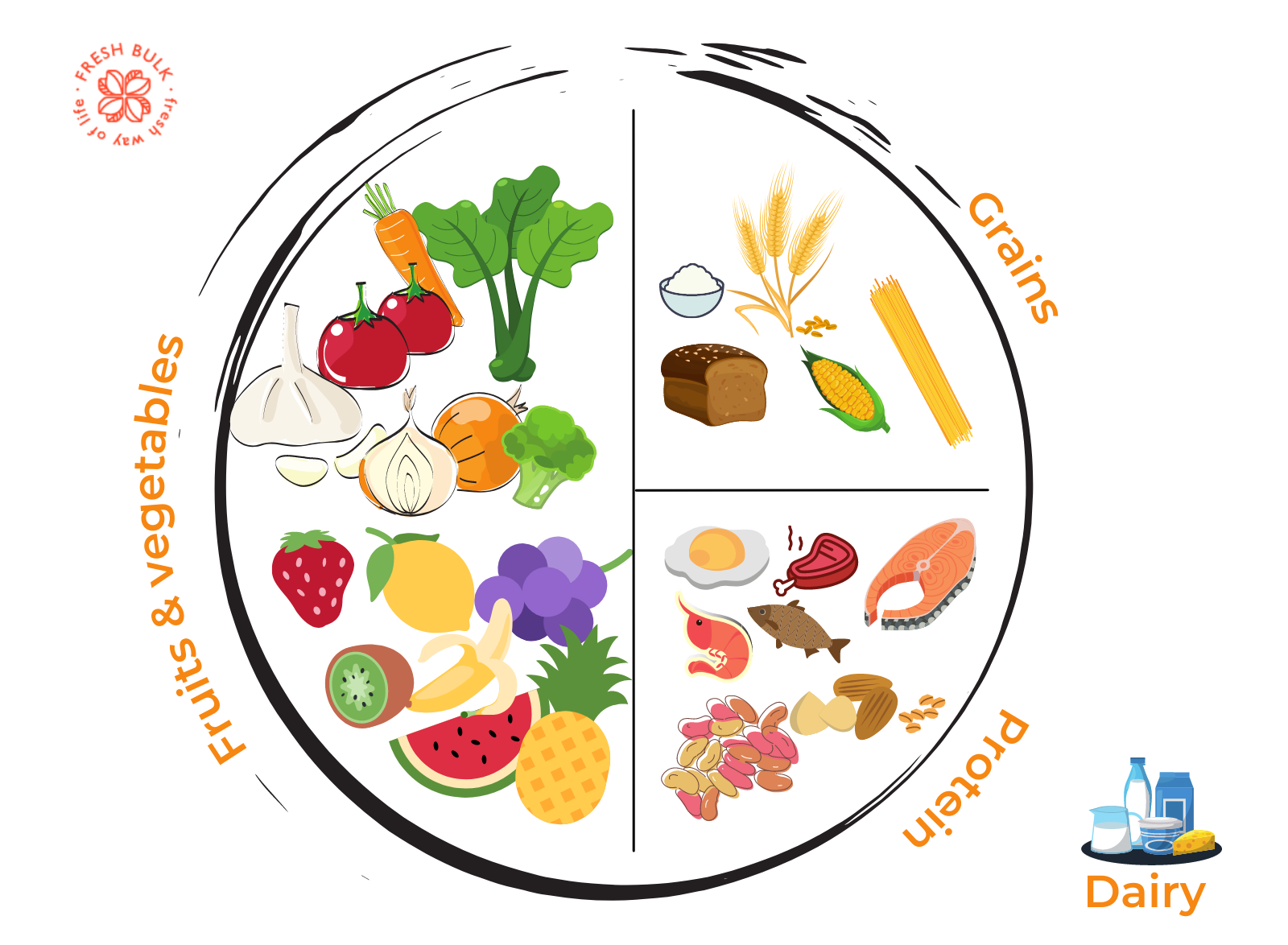 How to portion your plate for a healthy daily meal?